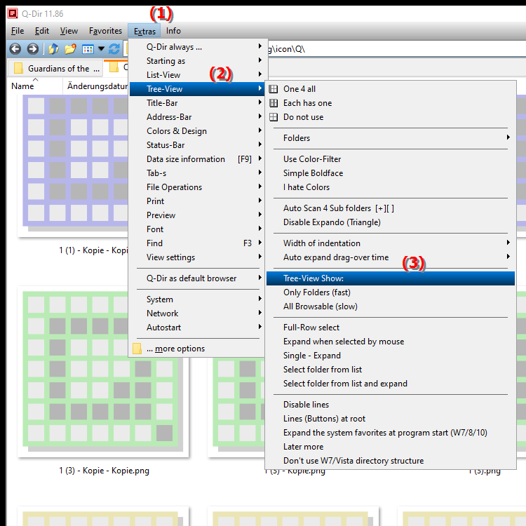 How do I enable directory visibility in the File Explorer directory structure